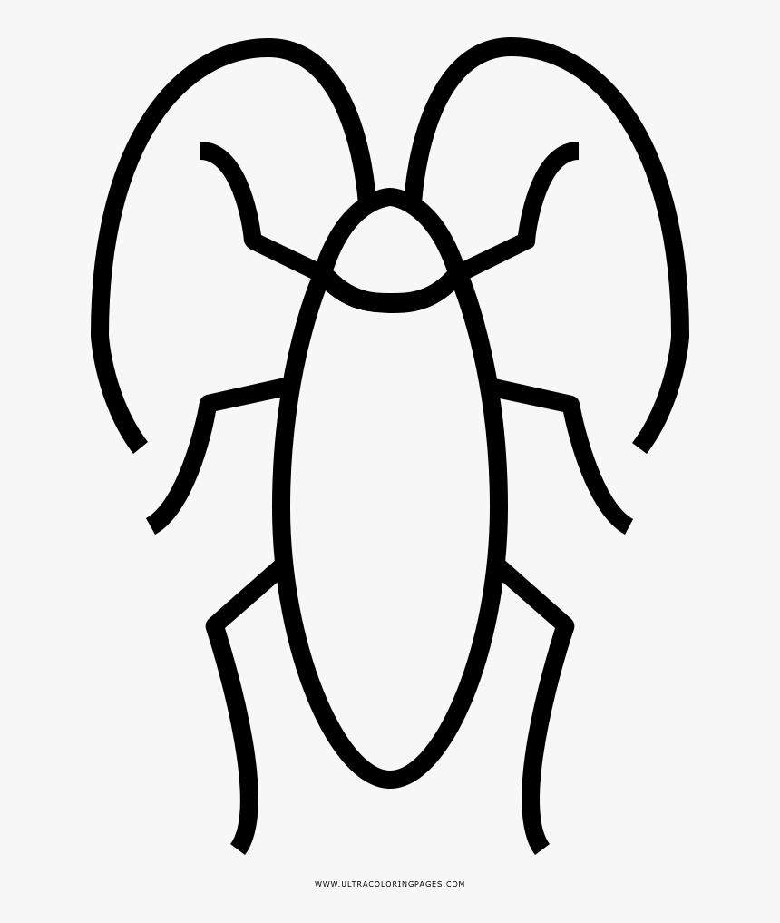 Cockroaches Coloring Pages, HD Png Download, Free Download