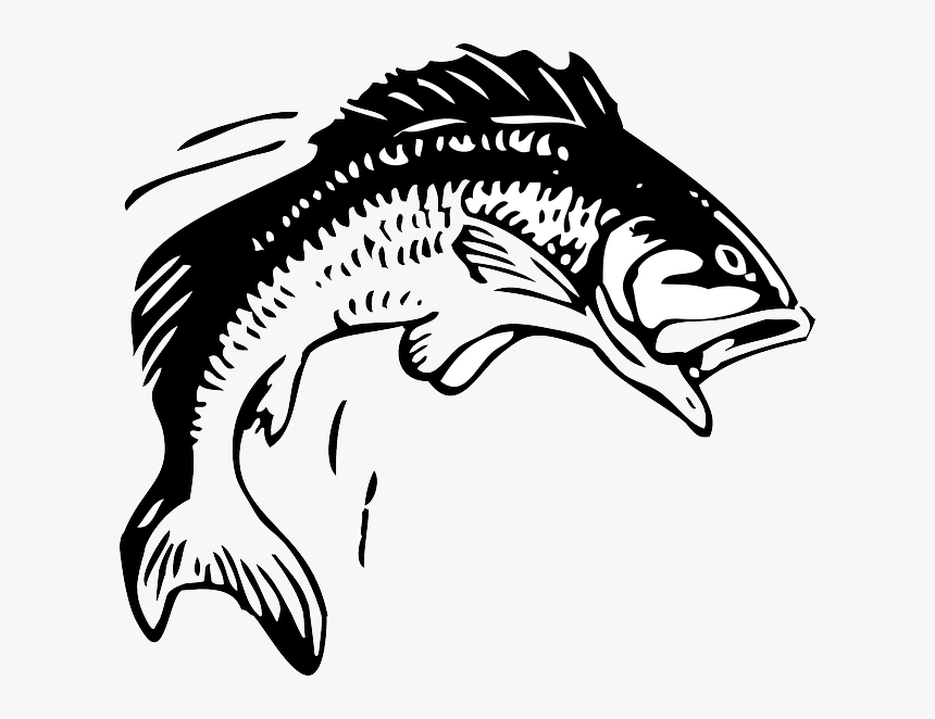 Animals, Head, Red, Water, Food, Sketch, Silhouette - Clipart Jumping Fish Png, Transparent Png, Free Download