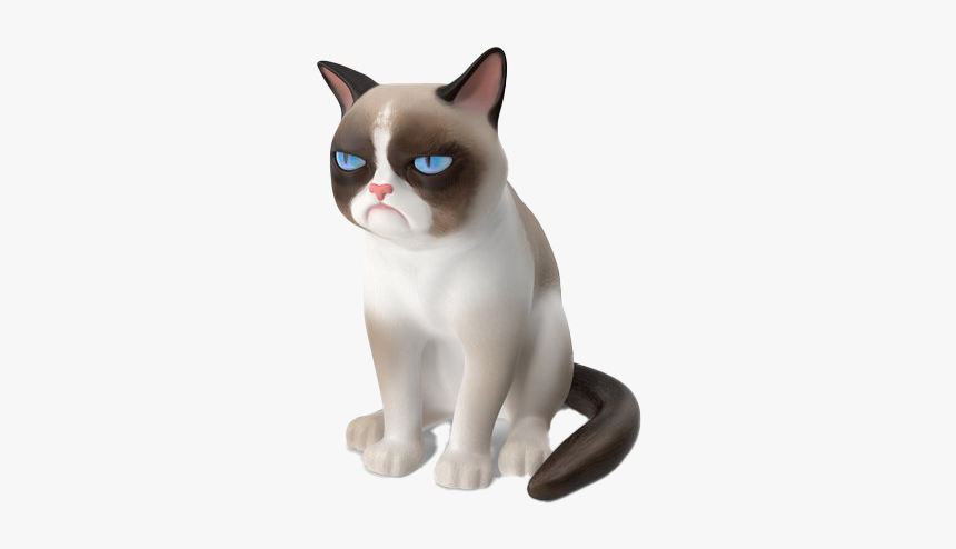 Grumpy Cat Png Transparent Picture - Grumpy Cat Png, Png Download, Free Download