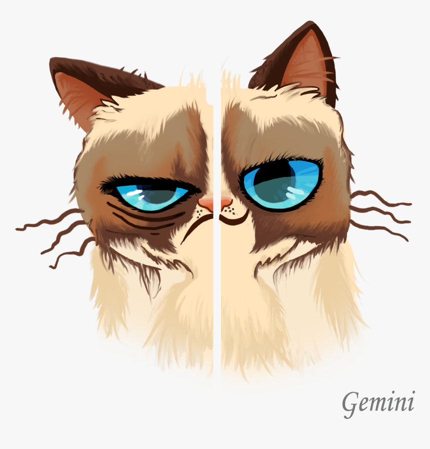 Grumpy Cat Horoscopes - Грампи Кэт Png, Transparent Png - kindpng.