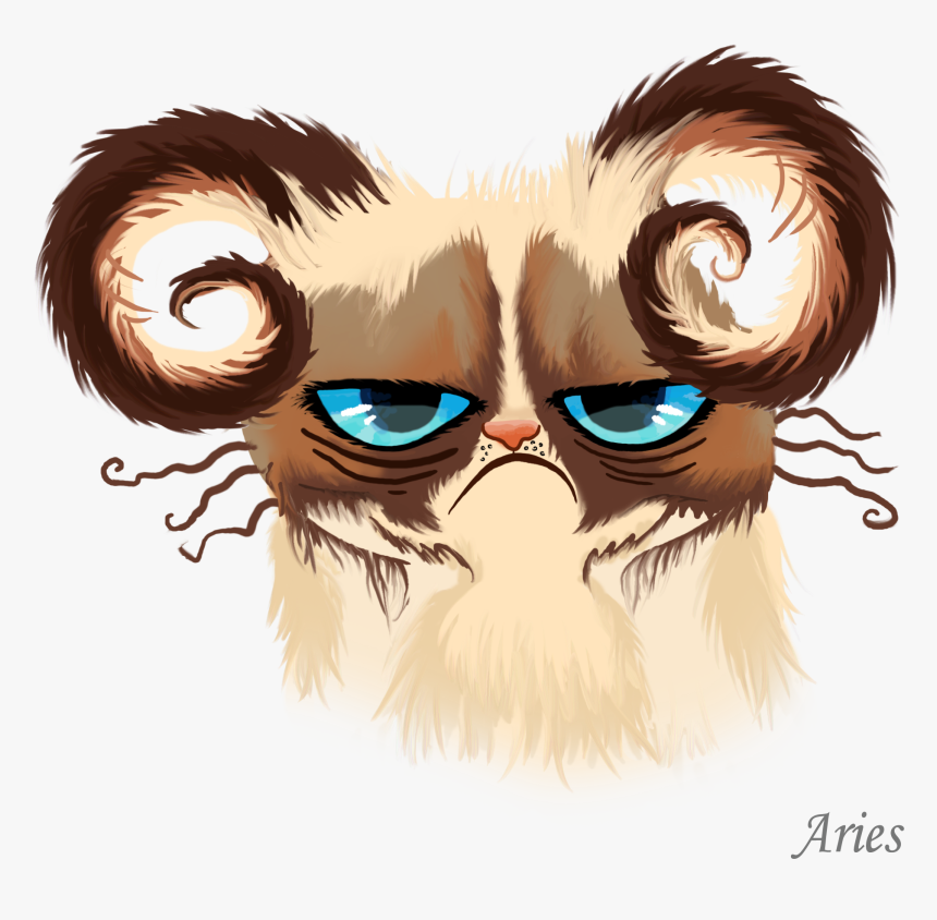 Grumpy Cat Face Png, Transparent Png, Free Download