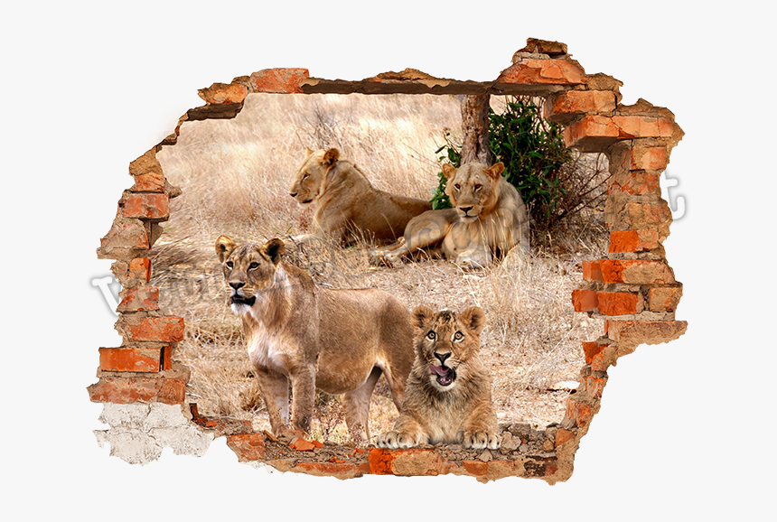 Puppy And Lions - Poster For Wall Art Design Competition, HD Png Download, Free Download