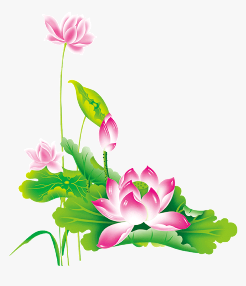 Transparent Chinese Flower Png - Png Lotus, Png Download, Free Download