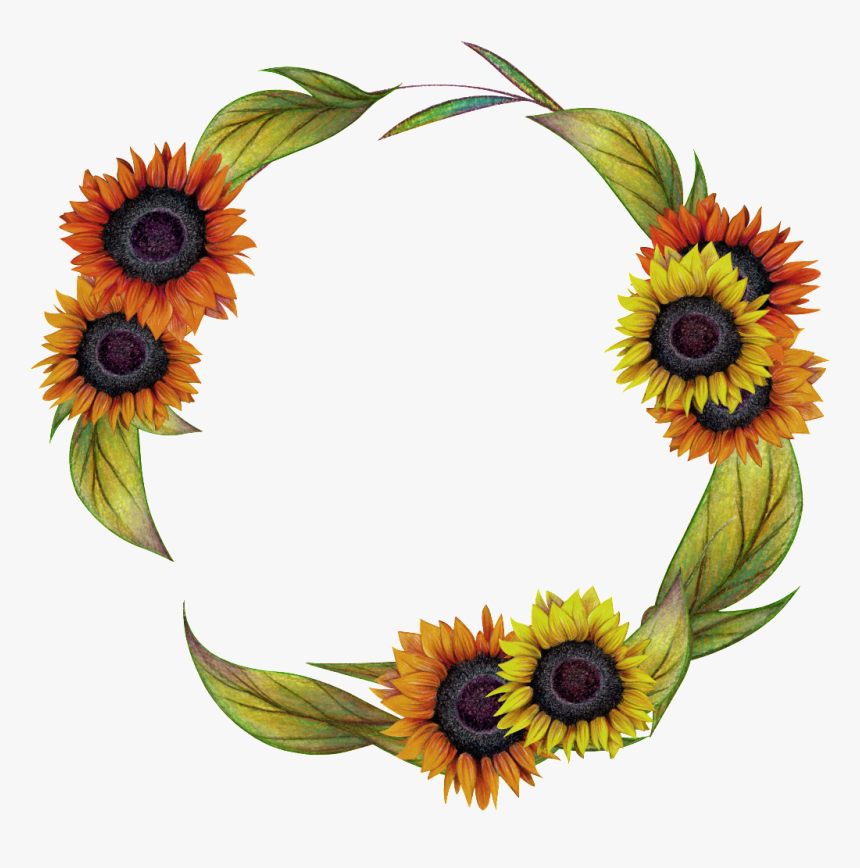 Hand Painted Two Color Sunflower Wreath Png Transparent - Sunflower Wreath Transparent, Png Download, Free Download