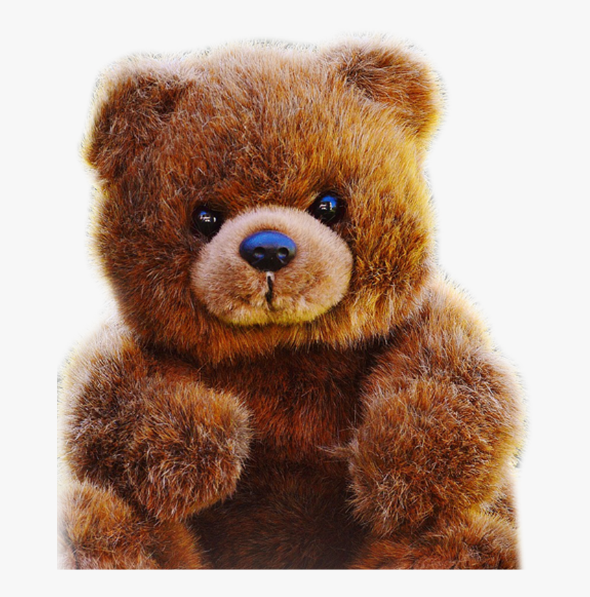 Teddybear - Teddy Bear Images Download Hd, HD Png Download, Free Download