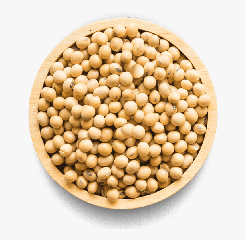 Soy Protein, HD Png Download, Free Download