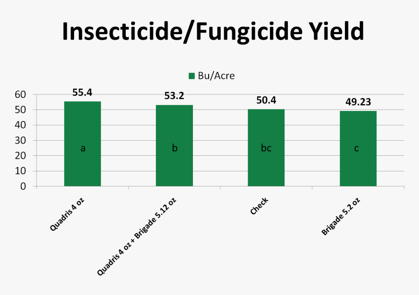 Insectfungslide - Purchase Funnel, HD Png Download, Free Download