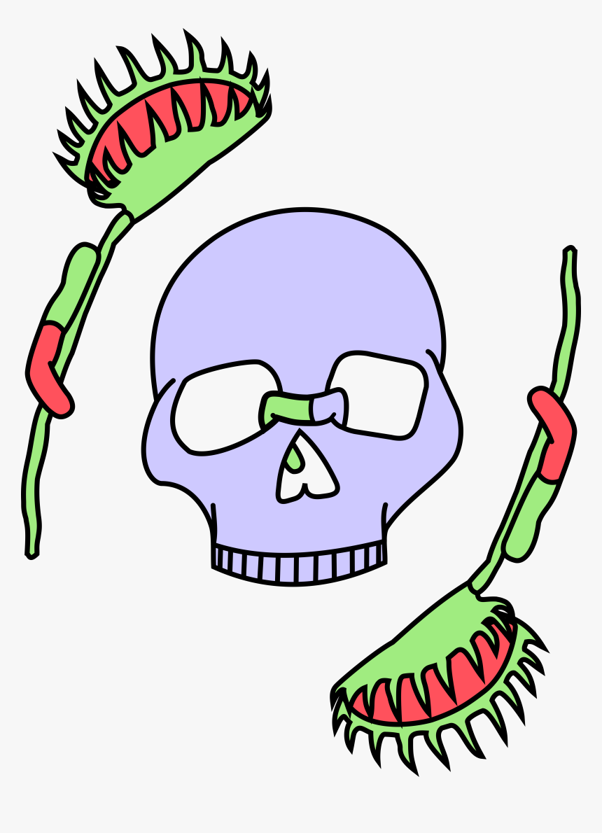 A Lavendar Skull Framed By Two Venus Fly Traps, All, HD Png Download, Free Download