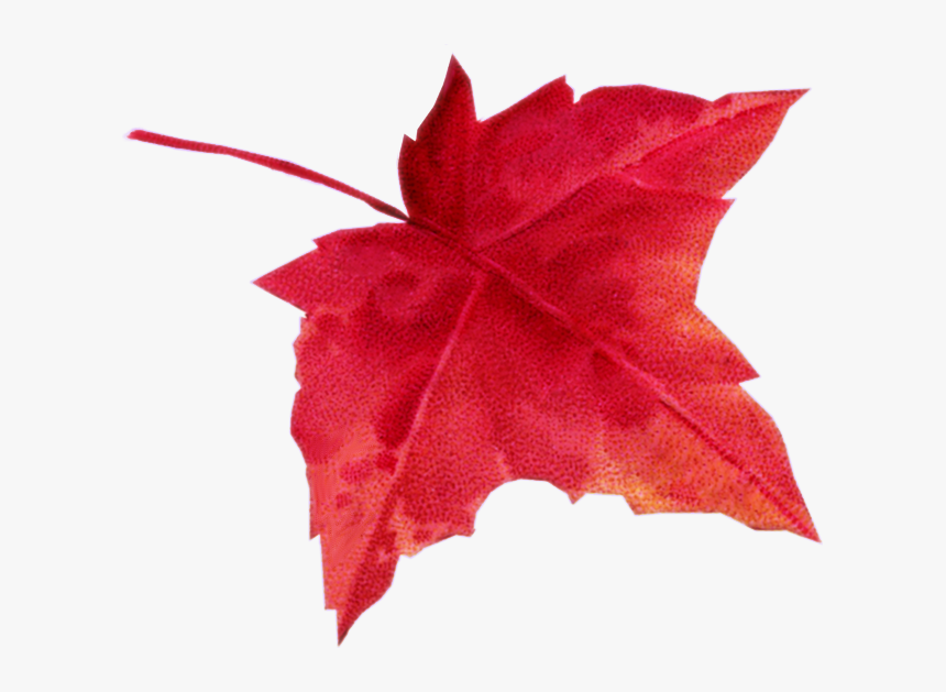 Autumn Leaves - Maple Leaf, HD Png Download, Free Download