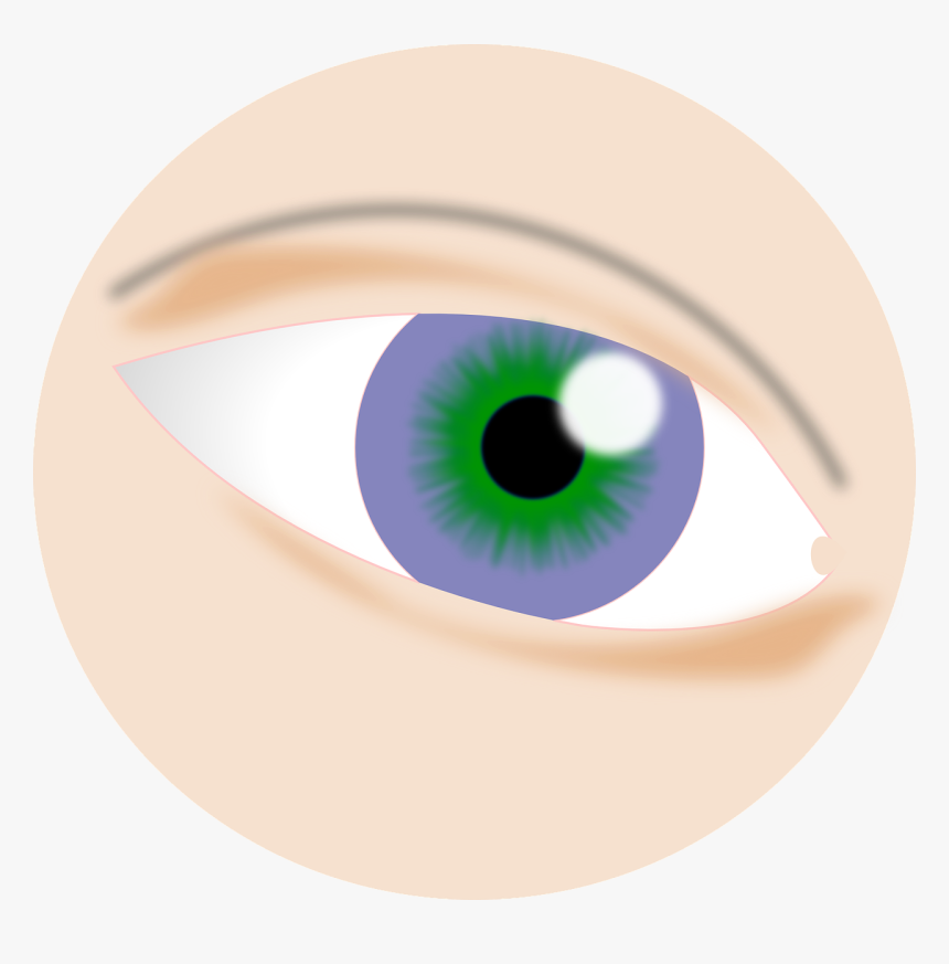 Eye Iris Png, Transparent Png, Free Download