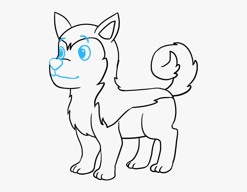 How To Draw Husky - Easy How To Draw A Husky, HD Png Download, Free Download