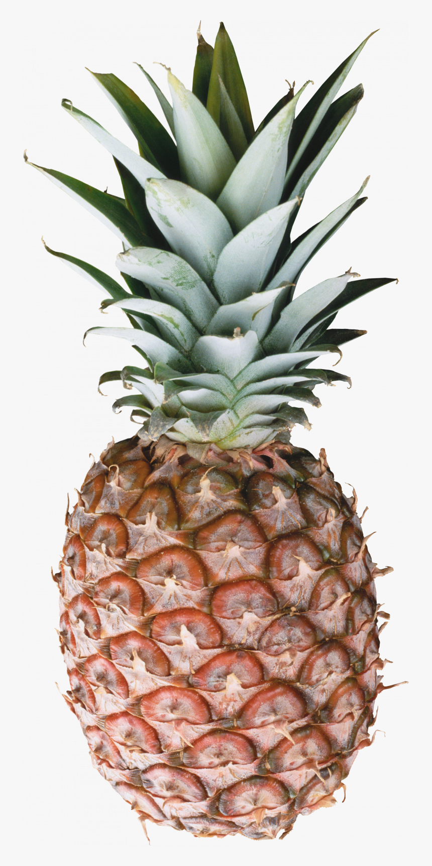 Free Download Of Pineapple Icon Png - Pineapple Png, Transparent Png, Free Download