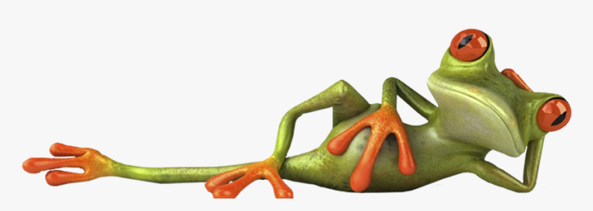 Frog Laying Down Png, Transparent Png, Free Download