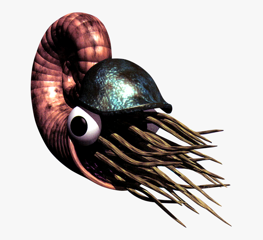 Nemo 01 - Chambered Nautilus, HD Png Download, Free Download