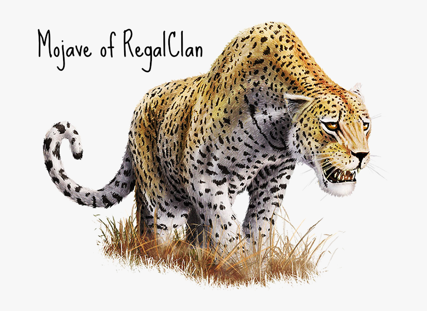 Leopard Transparent Wild Animal - Png Files With Transparent Background, Png Download, Free Download