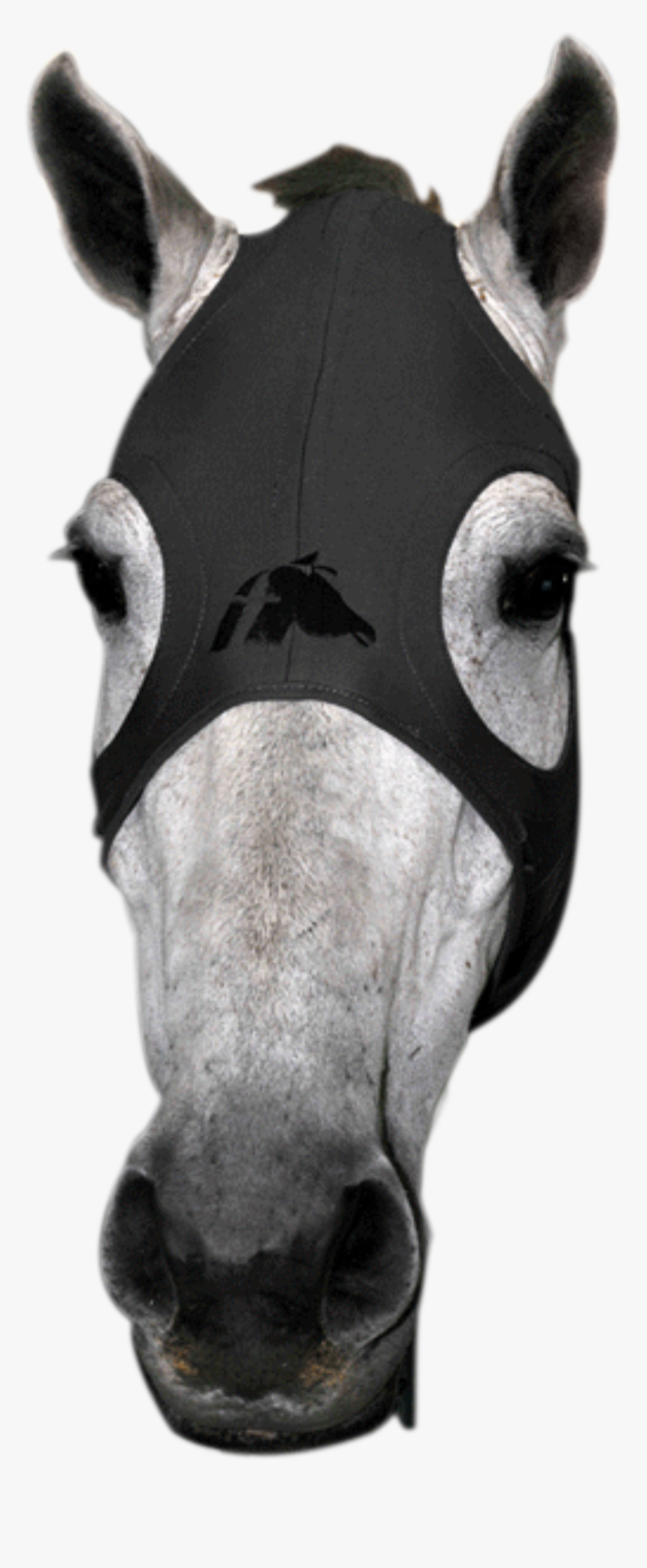 Fenwick Liquid Titanium Mask, HD Png Download, Free Download