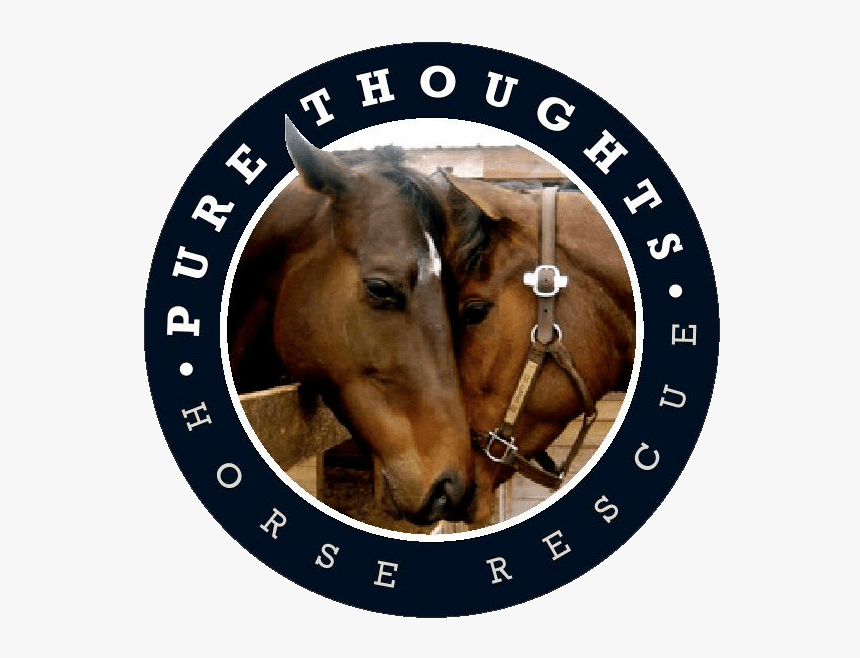 Pure Thoughts Horse Rescue, Inc - Certified Quality System Eqnet Logo, HD Png Download, Free Download