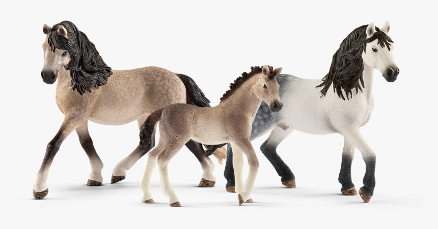 Andalusier Ist Eine Spanische Pferderasse - All Schleich Horses, HD Png Download, Free Download