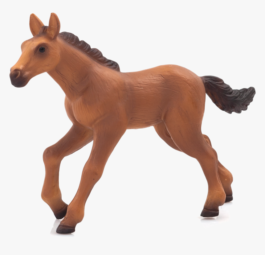 Foal, HD Png Download, Free Download