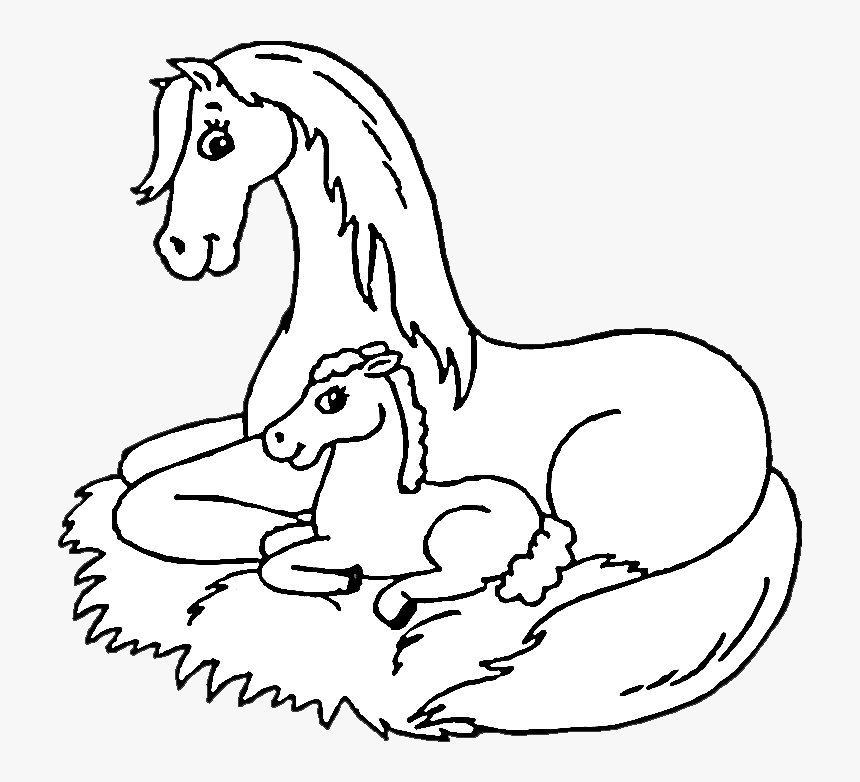 Horse And Foal Coloring Pages, HD Png Download, Free Download