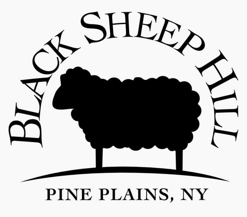 Black Welsh Mountain Roving - Black Sheep Transparent, HD Png Download, Free Download