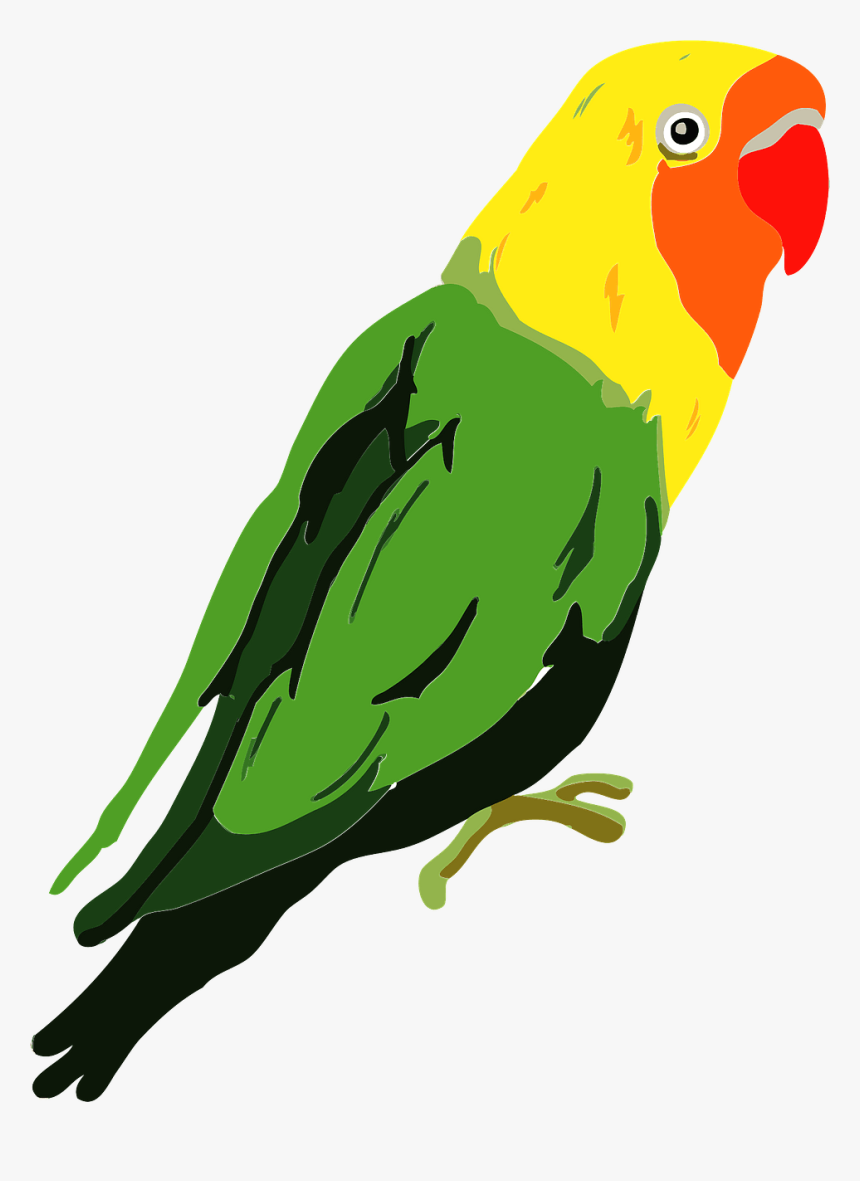 Lilian's Lovebird, HD Png Download, Free Download