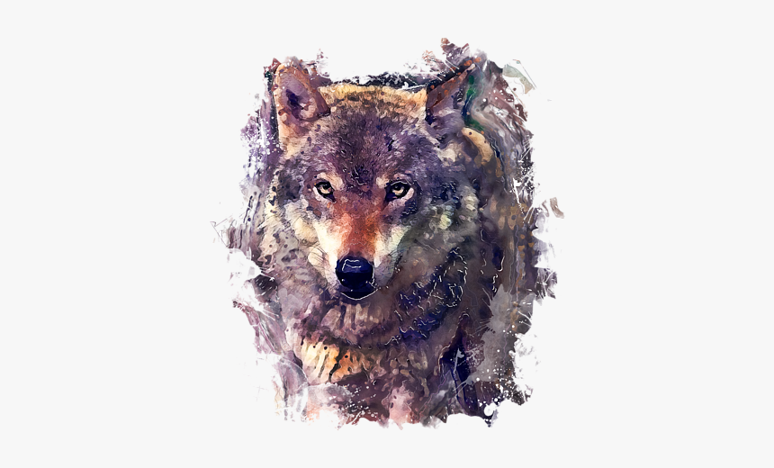 Coyote, HD Png Download, Free Download