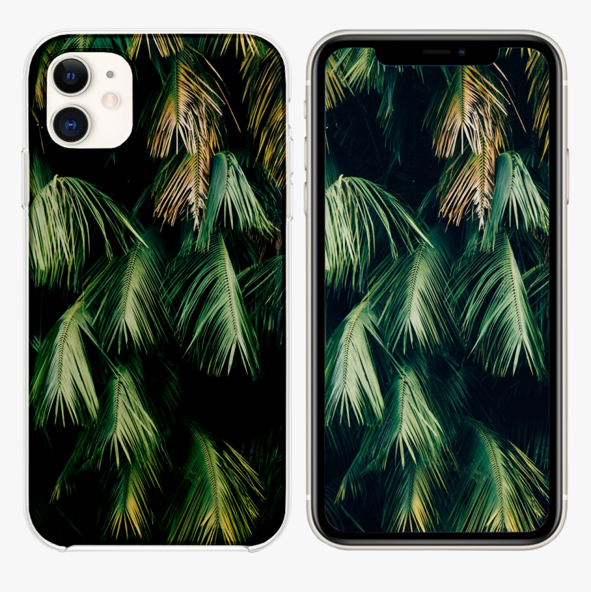 Iphone 11 Wallpaper Tropical, HD Png Download, Free Download