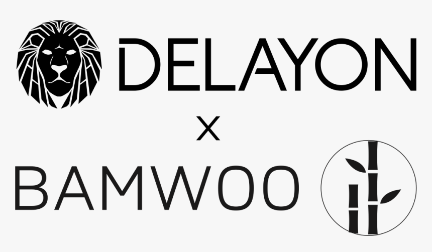 Delayon X Bamwoo - Welcome In The Netherlands, HD Png Download, Free Download