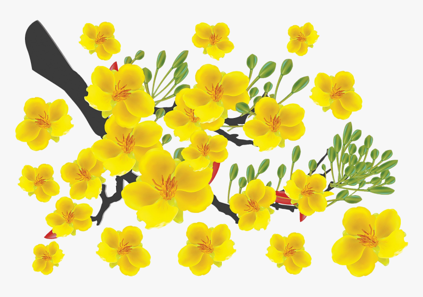 Hoa Mai Png Free, Transparent Png kindpng