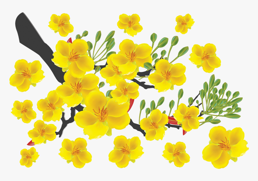 Hoa Mai Png Free, Transparent Png, Free Download