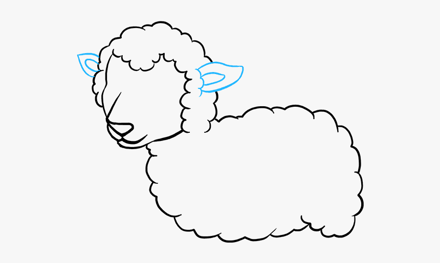 How To Draw Lamb - Drawing Picture Of A Lamb, HD Png Download, Free Download