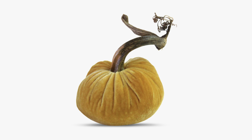 Pumpkin, HD Png Download, Free Download