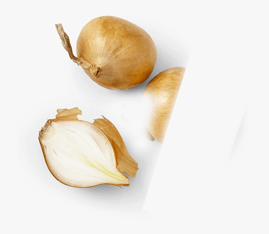 Onions - Peel, HD Png Download, Free Download