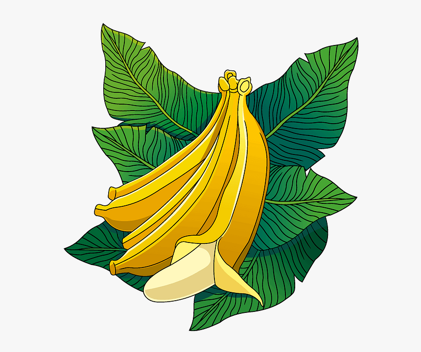 Clip Art, HD Png Download, Free Download