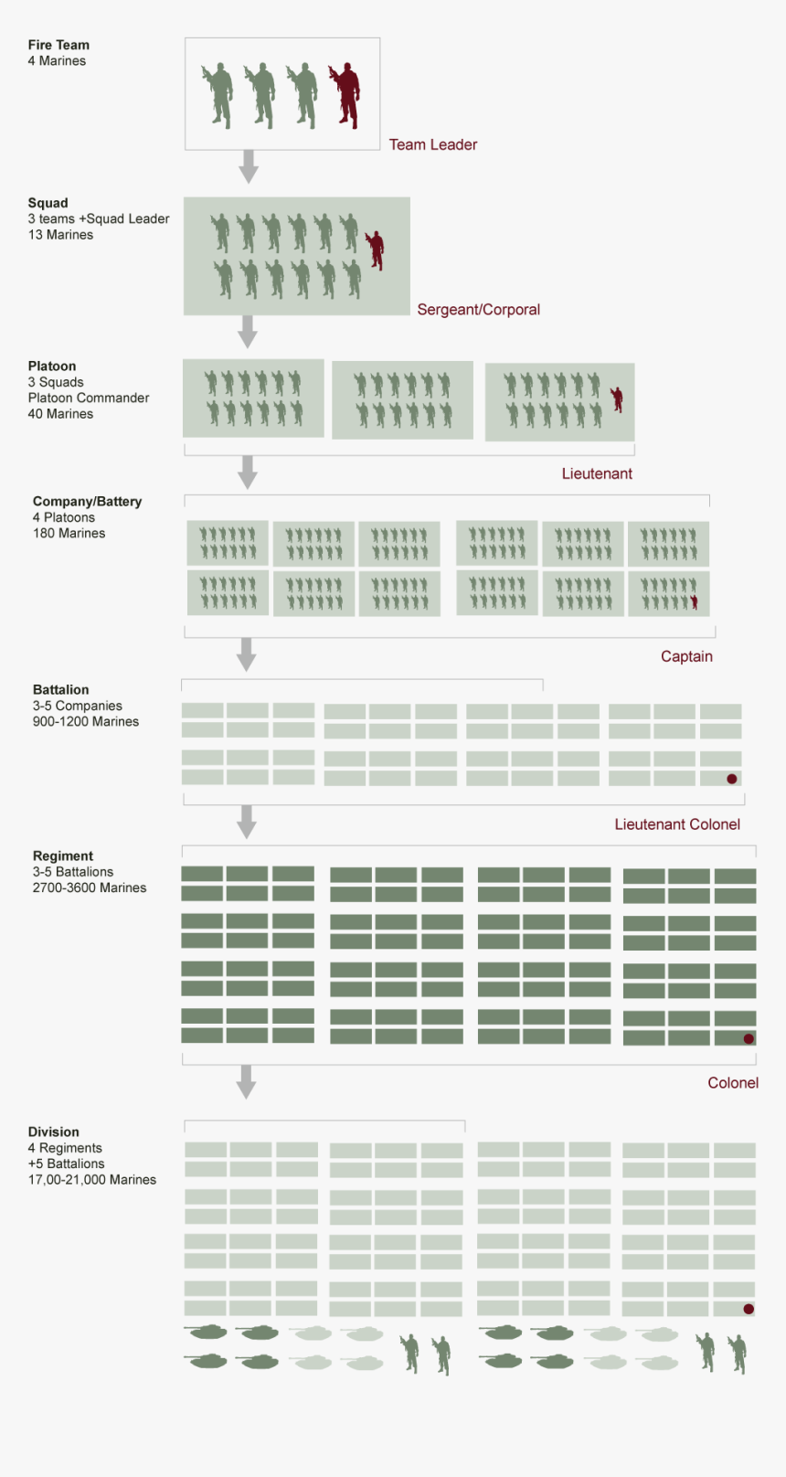 Marine Corps Unit Structure Chart, HD Png Download, Free Download