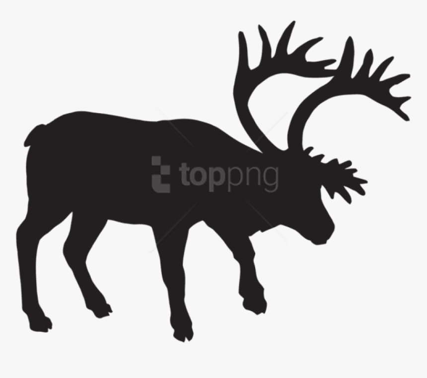 Free Png Fallow Deer Silhouette Png - Footprints Of Animals Of North America, Transparent Png, Free Download