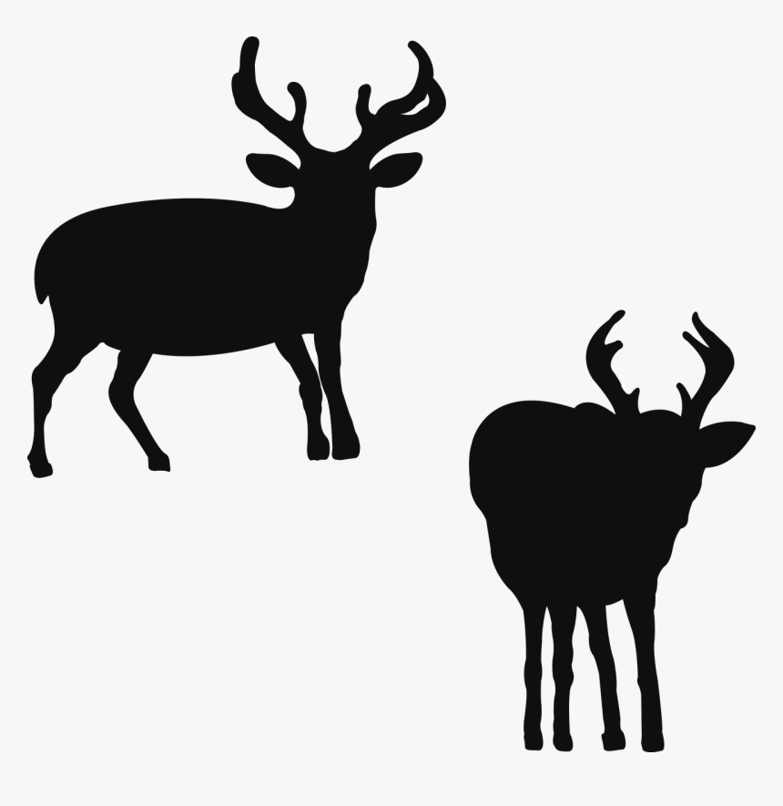 Deer, HD Png Download, Free Download