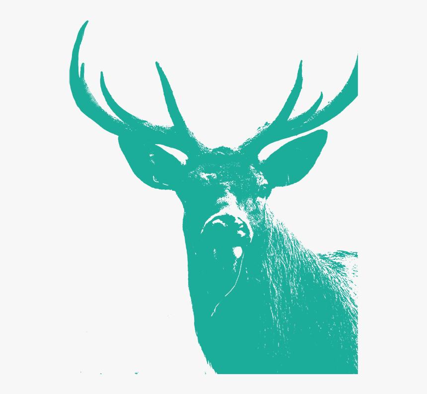 Reindeer Illustration Clip Art Antler Silhouette - Elk, HD Png Download, Free Download