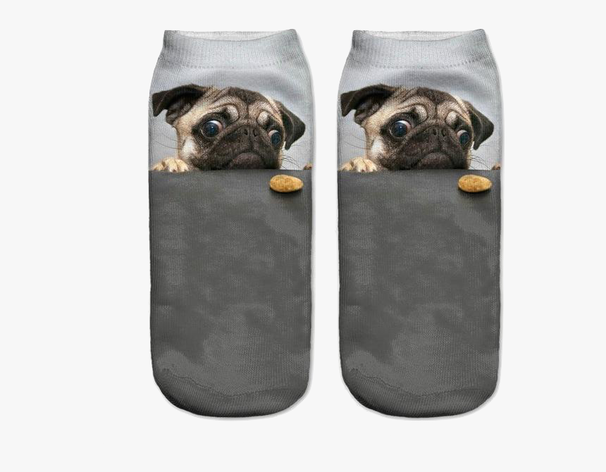 Pug Socks, HD Png Download, Free Download