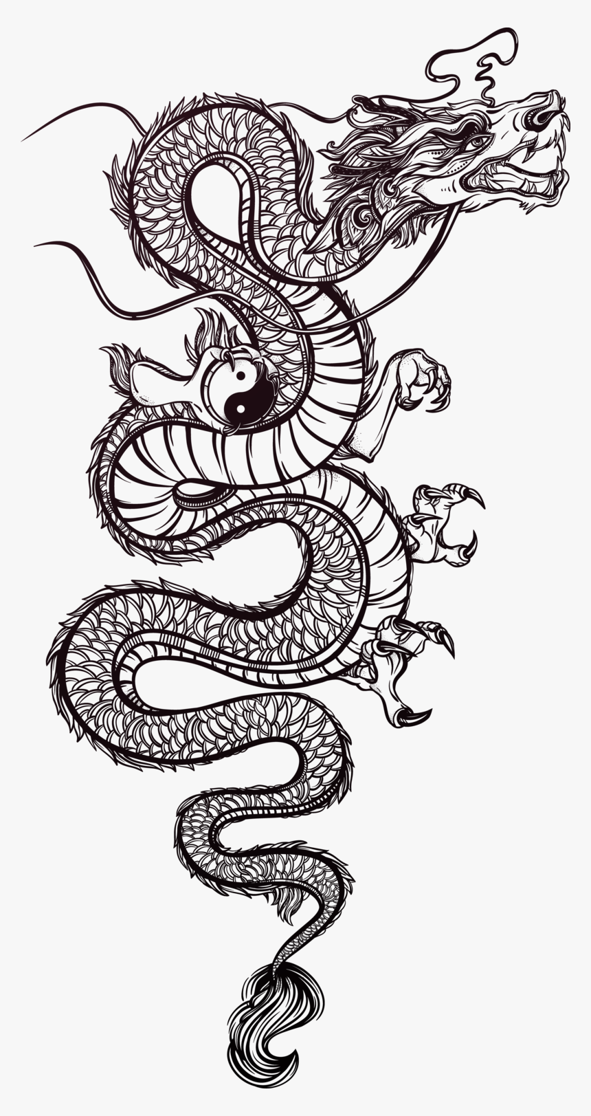 Tattoo Chinese Illustration Dragon Vector Hand-painted, HD Png Download, Free Download