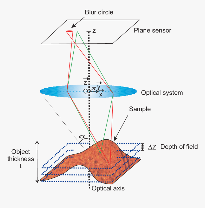 Diagram, HD Png Download, Free Download