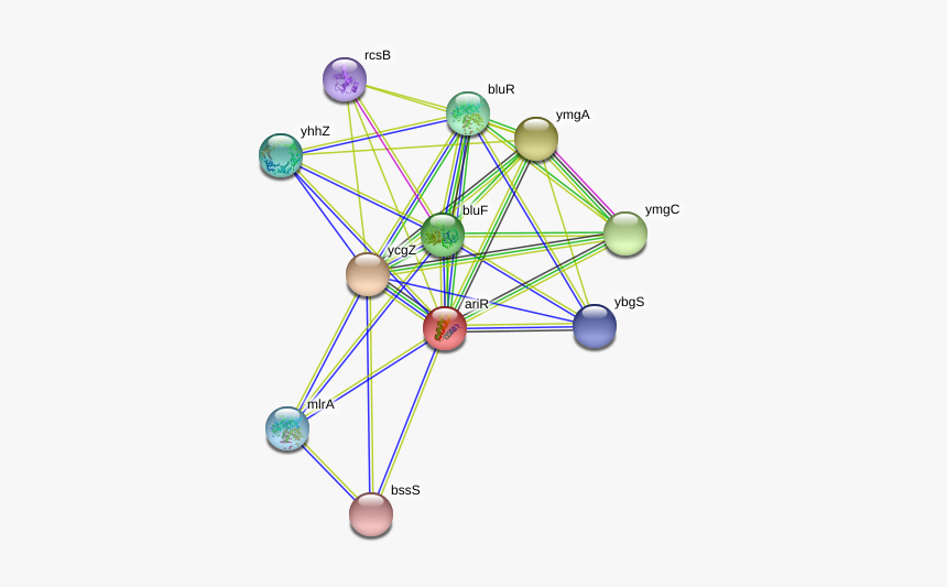 Arir Protein - Ferris Wheel, HD Png Download, Free Download