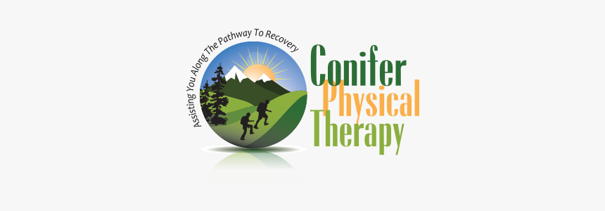 Conifer Physical Therapy Logo - Tree, HD Png Download, Free Download