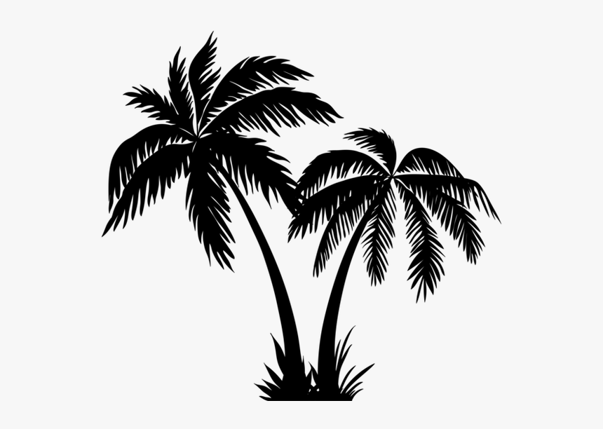 Coconut Tree Clipart Black And White, HD Png Download, Free Download