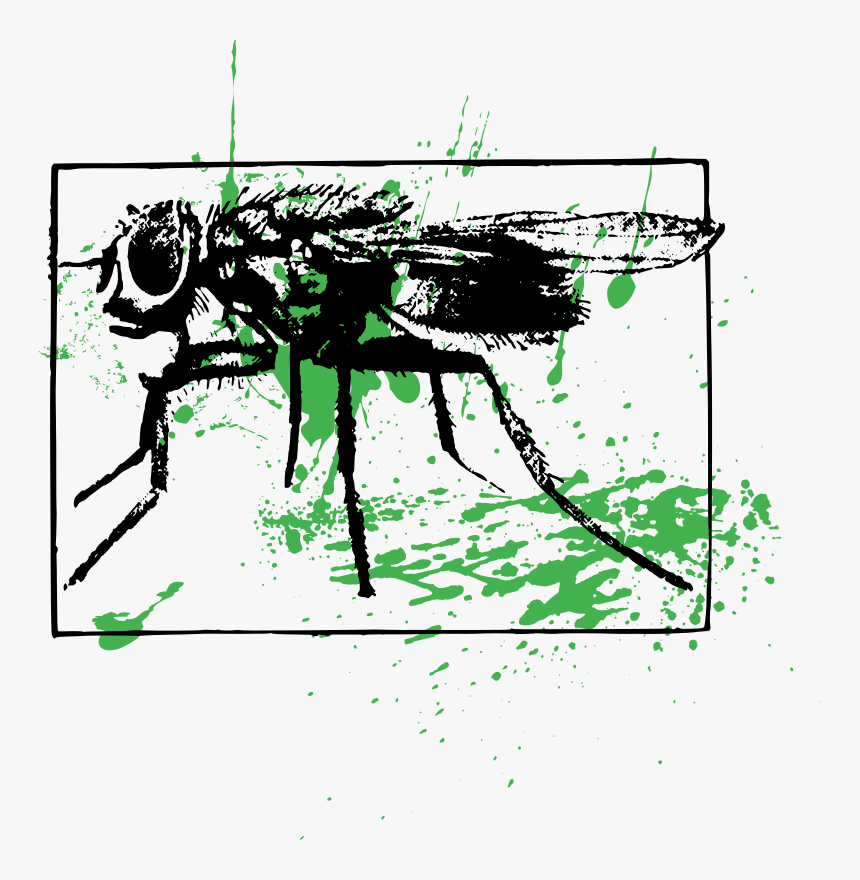 Pest - Illustration, HD Png Download, Free Download