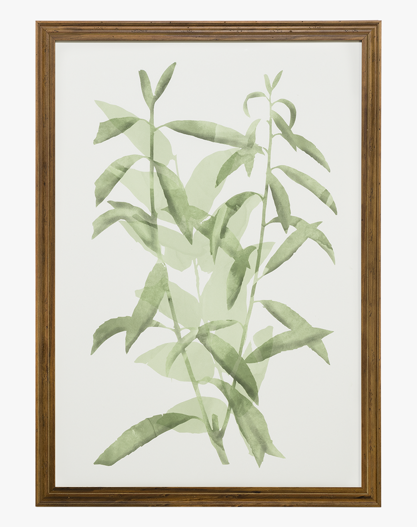 Watercolor Botanical I - Picture Frame, HD Png Download, Free Download