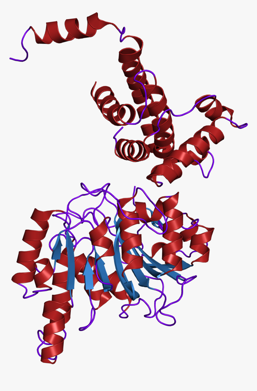 2ar0 Structure - Dna Methyltransferase, HD Png Download, Free Download