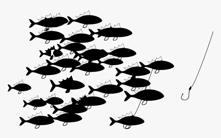Transparent Fish Silhouette Png - Fishing, Png Download, Free Download