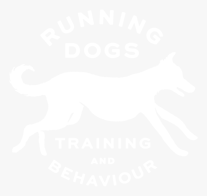 Running Dogs Training And Behaviour Logo - Dog Catches Something, HD Png Download, Free Download
